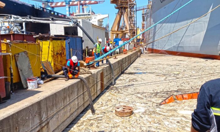 Kahramanmaraş’tan Marmara’ya müsilaj seferberliği