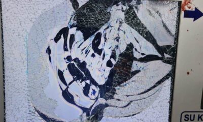 Kamu malına zarar verdiler