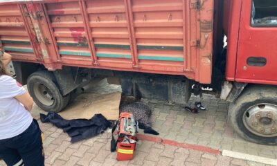 Kamyonetin altında kalan kadın hayatını kaybetti