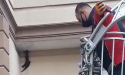 Kanadı sıkışan ebabil kuşunun imdadına itfaiye yetişti