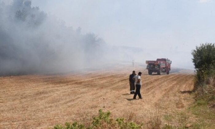 Kanepe hurdasını almak içi ormanı yakıyordu, 155 bin TL para cezasına çarptılırdı