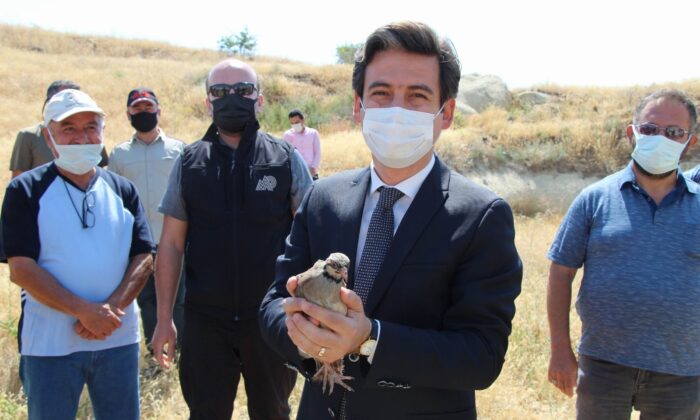 Kapadokya’da vadilere 850 adet keklik salındı