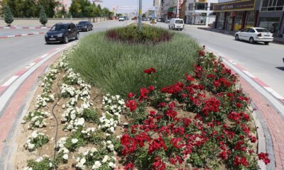 Karaman’da kavşak ve refüjler gül ve çiçeklerle donattı