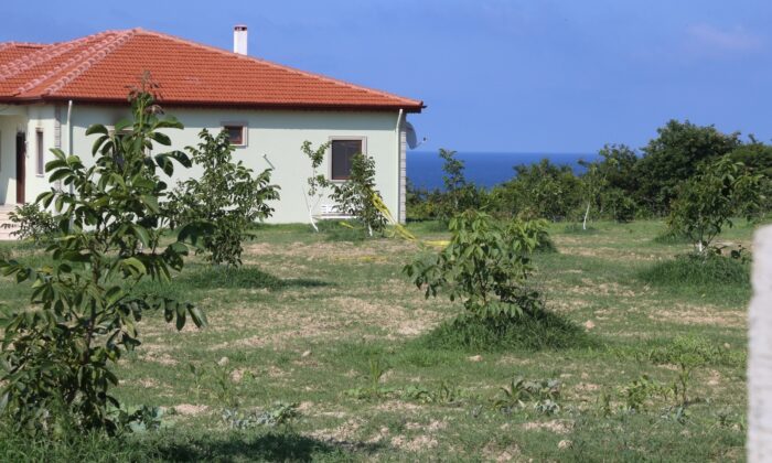 Kardeşini öldüren ağabeye müebbet hapis