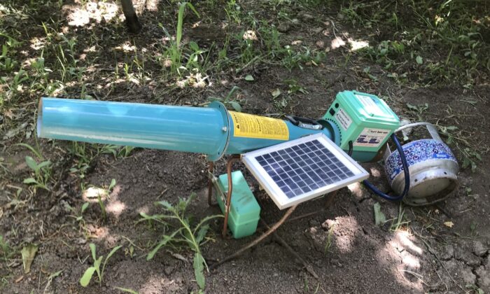 Karga savarlar iş başında