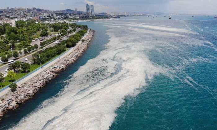 Kartal Sahili’ndeki müsilaj yoğunluğu havadan görüntülendi