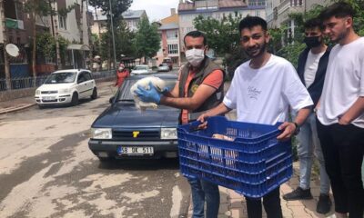 Kartal yavruları emin ellerde