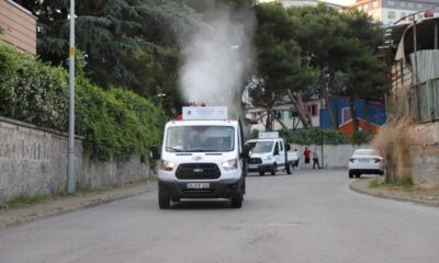 Kartal’da uçkun ve sivrisinekle mücadelede ilaçlama çalışmaları başladı