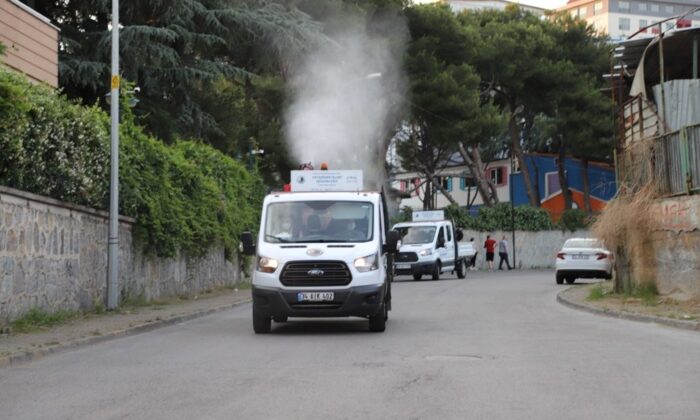 Kartal’da uçkun ve sivrisinekle mücadelede ilaçlama çalışmaları başladı