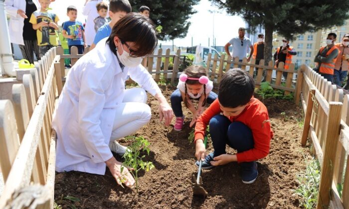 Kartallı minikler, yerli ve organik tarımın önemini hobi bahçelerinde öğreniyor