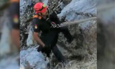 Kayalıklarda mahsur kalan oğlak kurtarıldı