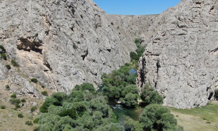 Kaymakam tanıtım için kendini Tohma çayının sularına bıraktı