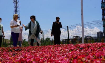 Keçiören’deki akıllı serada sebzeler ve çiçekler aynı anda üretiliyor