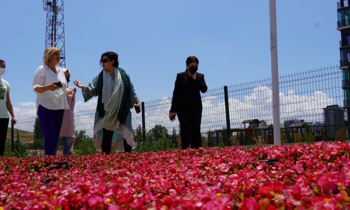 Keçiören’deki akıllı serada sebzeler ve çiçekler aynı anda üretiliyor