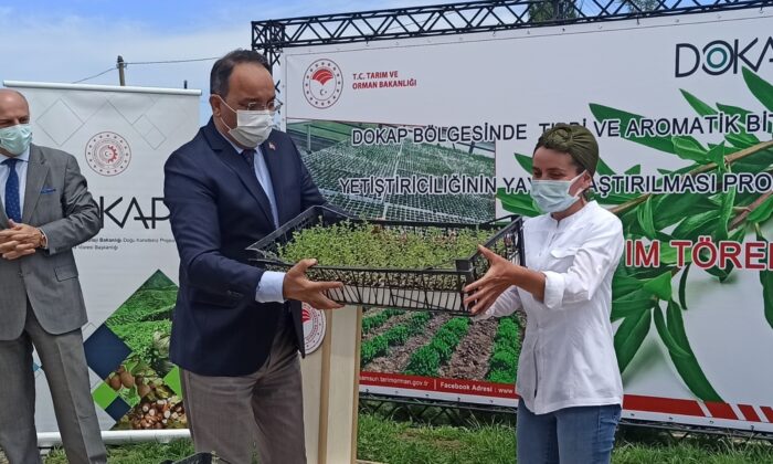 Kekik Fide Dağıtım ve Dikimi Tarla Günü