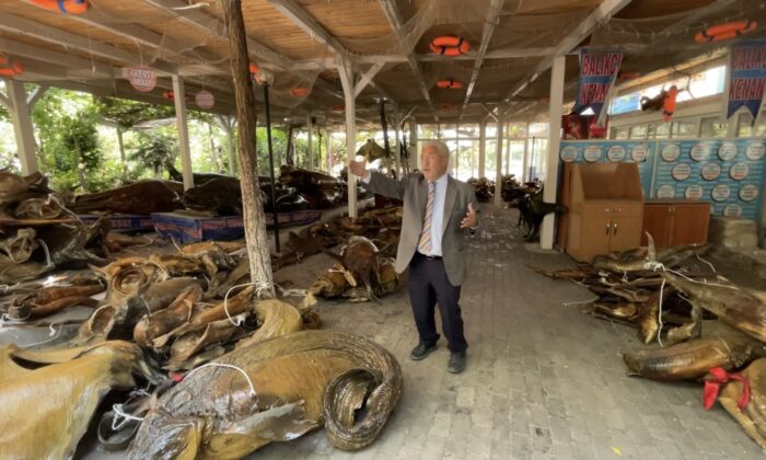 Kenan Balcı, Türkiye Deniz Canlıları Müzesi için destek istedi