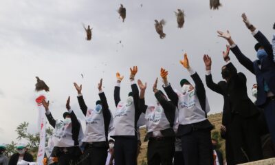 Keneyle mücadelede etkin rol oynayan keklikler, doğaya salındı