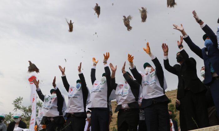 Keneyle mücadelede etkin rol oynayan keklikler, doğaya salındı