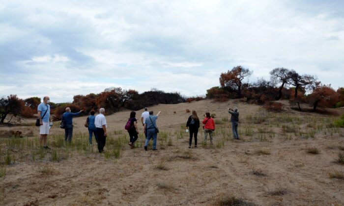 Kent Konseyi’nden Lara Kent Parkı ve Yamansaz’a inceleme gezisi