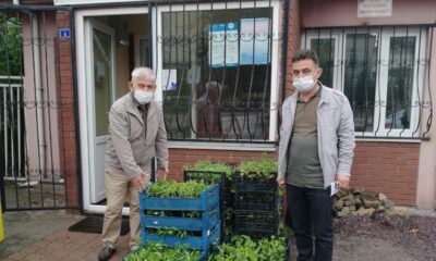 Kent merkezindeki muhtarlara fide dağıtımı