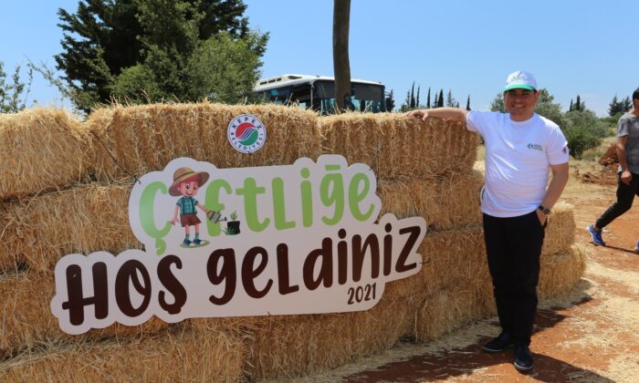 Kepez’de buğday hasatı sonrası boşalan topraklara meyve ve sebze ekiliyor