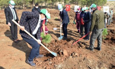 Kilis’e 17 yılda 10 milyondan fazla ağaç dikildi