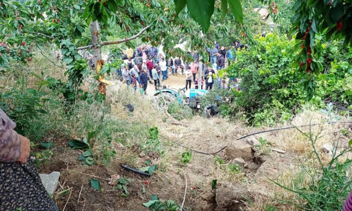 Kiraz toplarken canından oldu