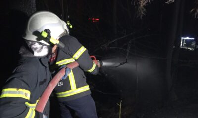 Kırıkkale İl Özel İdaresi bahçesinde yangın paniği