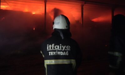 Kırklareli’nde hayvan çiftliğinde yangın