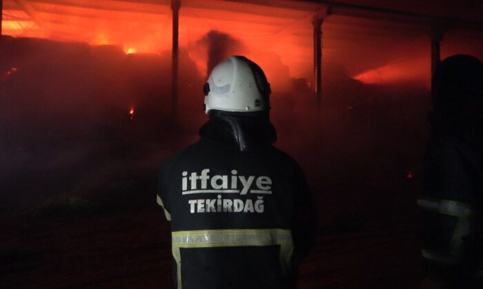 Kırklareli’nde hayvan çiftliğinde yangın