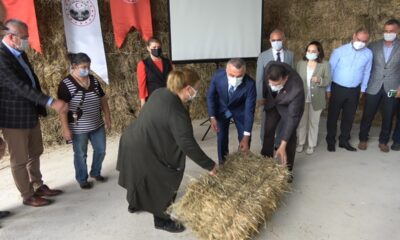 Kırklareli’nde ıslah edilen meralarda yetiştirilen hayvan yemleri besicilere dağıtıldı
