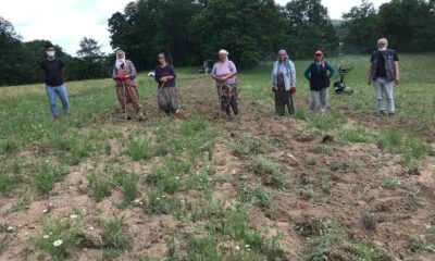 Kırklareli’nde lavanta bahçeleri incelendi