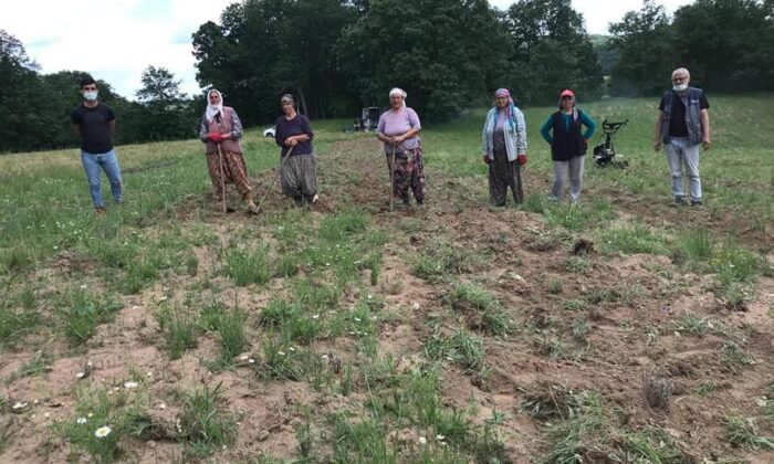 Kırklareli’nde lavanta bahçeleri incelendi