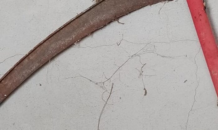 Kırlangıç tırpana yuva yaptı