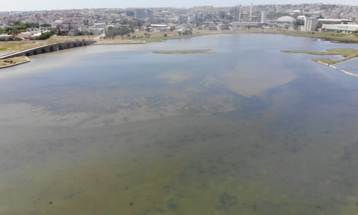 Kirlilik nedeniyle Büyükçekmece Gölü’nün rengi değişti