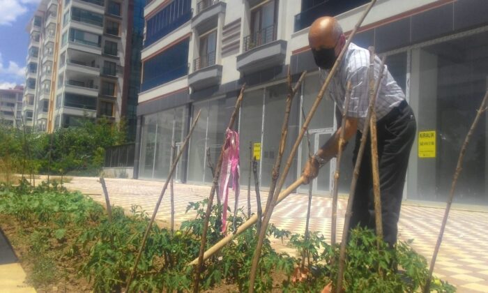 Kısıtlamayı fırsat bildi, apartman önünü hobi bahçesi yaptı