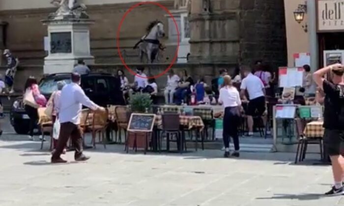 Kızgın at Floransa’nın ünlü meydanını birbirine kattı