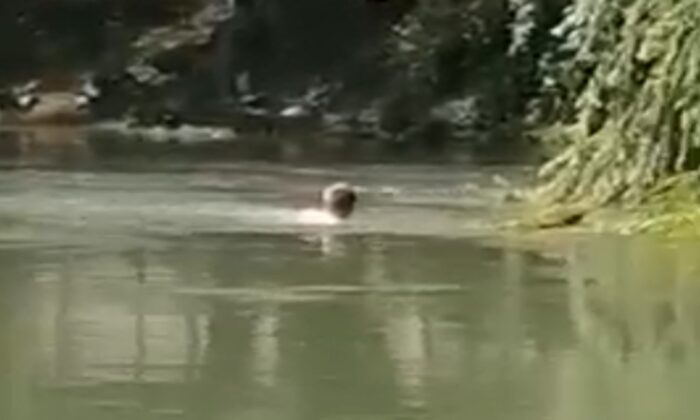 Kızılırmak’ta sürüklenen şahıs boğulmaktan son anda kurtarıldı, o anlar kamerada