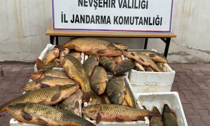 Kızılırmak’tan kaçak balık tutan şüpheli yakalandı