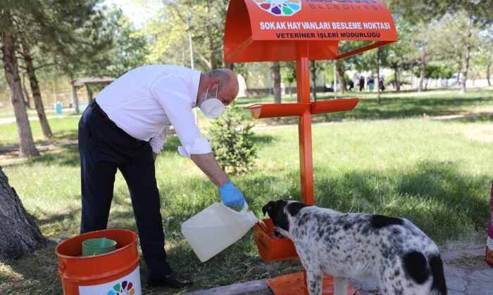 Kocasinan’da hayat tüm canlılar için değerli