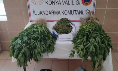 Konya’da jandarmadan uyuşturucu operasyonu