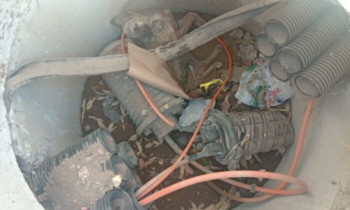 Köpeğin yardımına itfaiye koştu