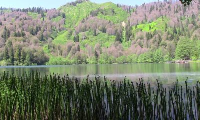 Korona yasaklarının ardından Borçka-Karagöl’e yoğun ilgi
