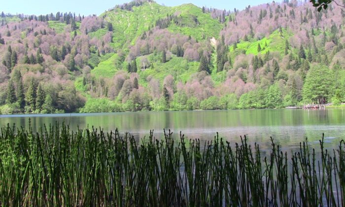 Korona yasaklarının ardından Borçka-Karagöl’e yoğun ilgi
