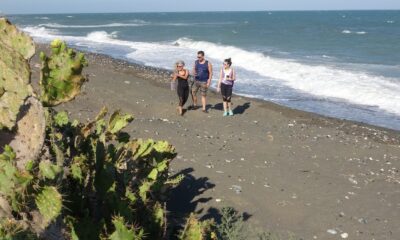 Koruma Altına alınan Alata Sahili’nde deniz kaplumbağaları güvende