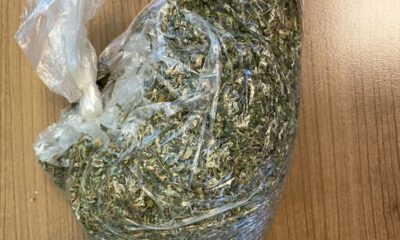 Kovalamaca sonucu yakalandı, üzerinden bonzai çıktı