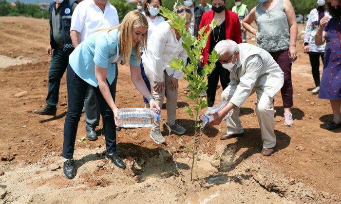 Köy Enstitülerinin mimarı İsmail Hakkı Tonguç anısına hatıra ormanı oluşturuldu