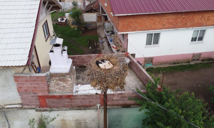 Köy halkı her yıl bu leyleklerin yolunu gözlüyor