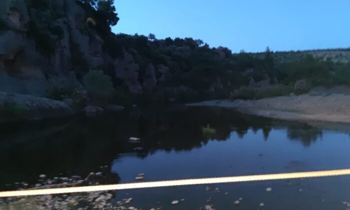 Koyunlarını yıkamak için girdiği gölette boğuldu