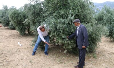 Kozan’da hasar tespit çalışmalarına başlandı